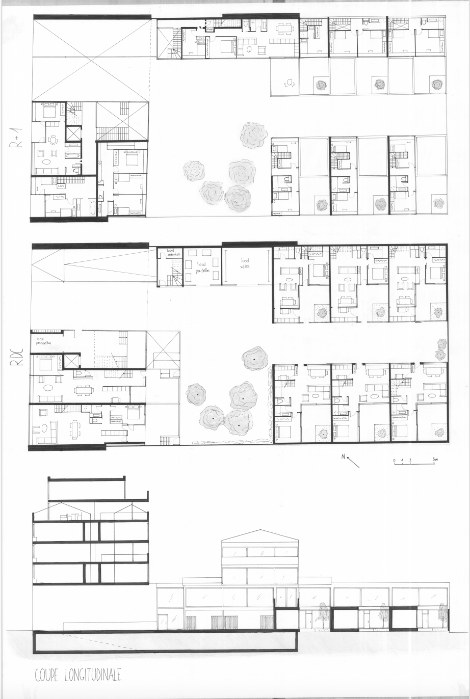 coupe longitudinale et plans